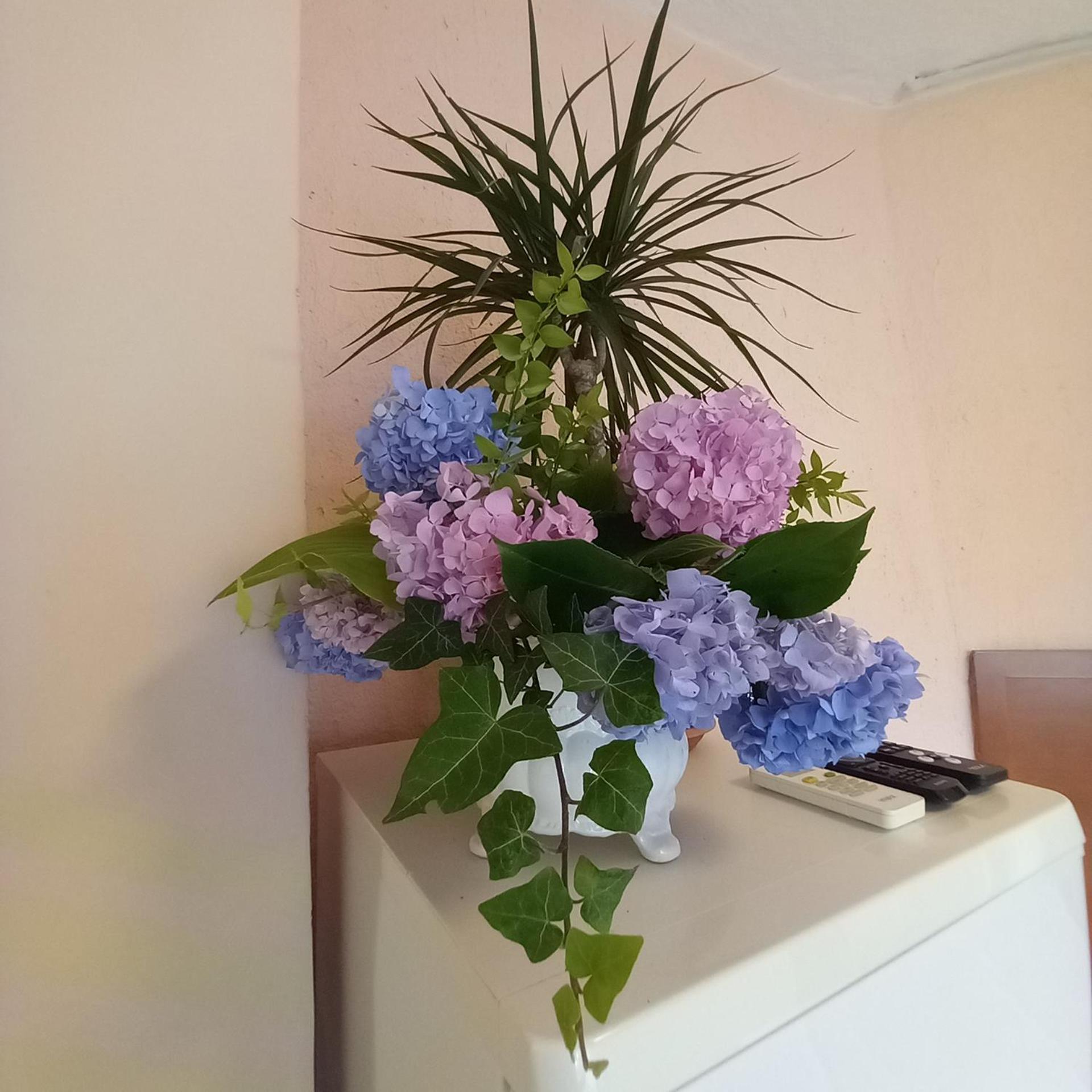 Villa Maria Opatija Ngoại thất bức ảnh