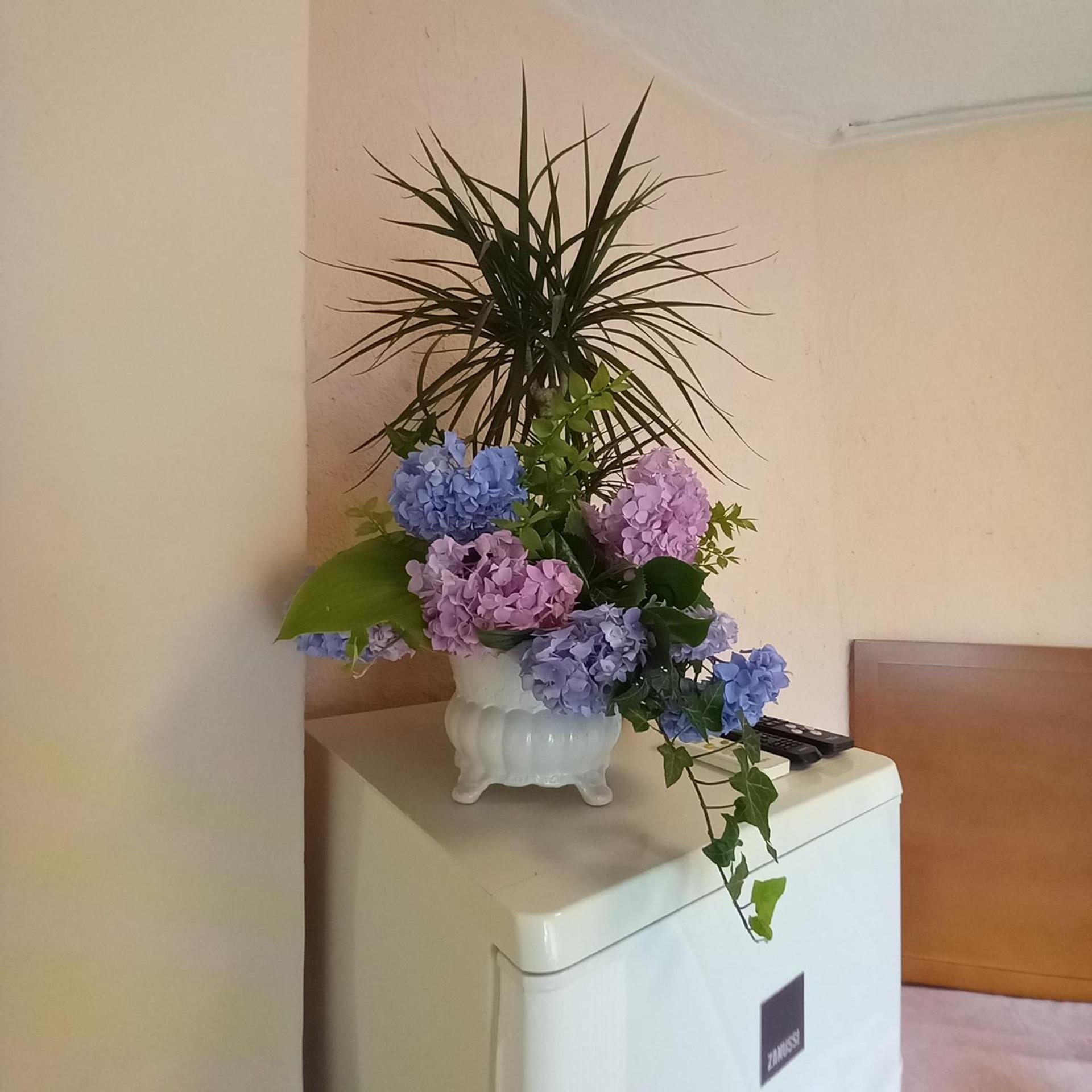 Villa Maria Opatija Ngoại thất bức ảnh